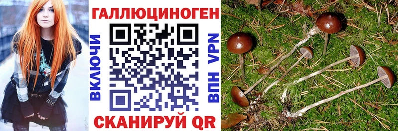 kraken   Абдулино  Галлюциногенные грибы MAGIC MUSHROOMS  что такое наркотик 